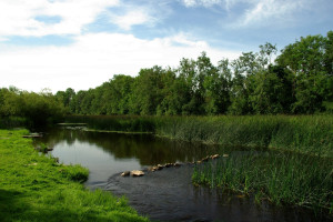 当足球遇上艺术，迈阿密演绎2026世界杯的别样风情